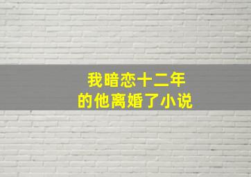 我暗恋十二年的他离婚了小说