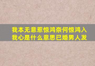 我本无意惹惊鸿奈何惊鸿入我心是什么意思已婚男人发