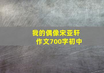 我的偶像宋亚轩作文700字初中