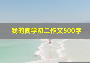 我的同学初二作文500字