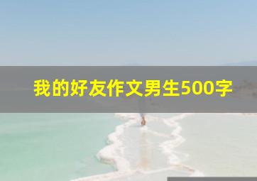 我的好友作文男生500字