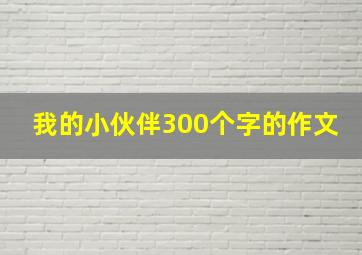 我的小伙伴300个字的作文