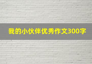 我的小伙伴优秀作文300字