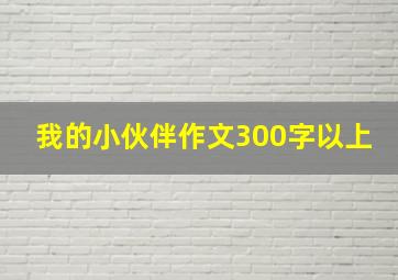 我的小伙伴作文300字以上