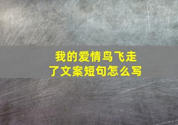 我的爱情鸟飞走了文案短句怎么写