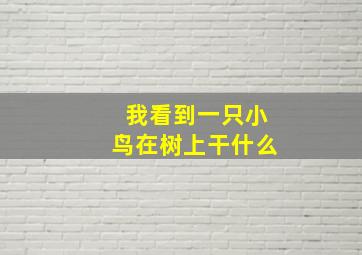 我看到一只小鸟在树上干什么