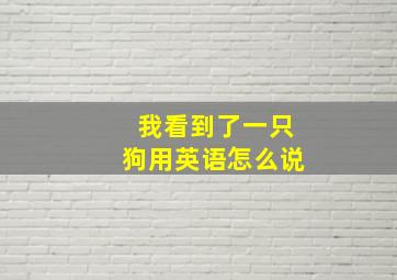 我看到了一只狗用英语怎么说