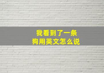 我看到了一条狗用英文怎么说