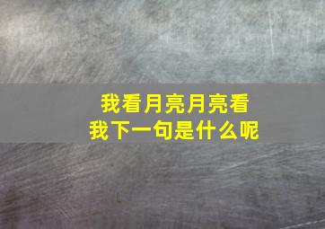 我看月亮月亮看我下一句是什么呢