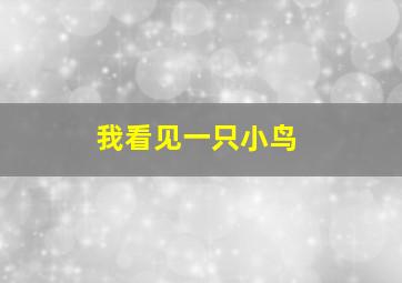 我看见一只小鸟