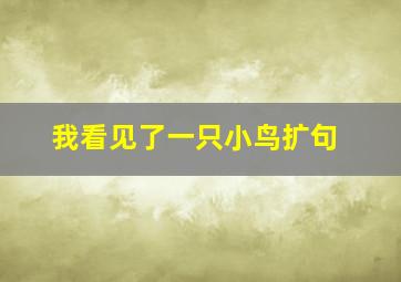 我看见了一只小鸟扩句