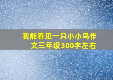 我能看见一只小小鸟作文三年级300字左右