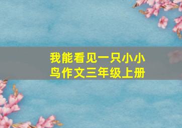 我能看见一只小小鸟作文三年级上册