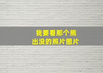 我要看那个熊出没的照片图片