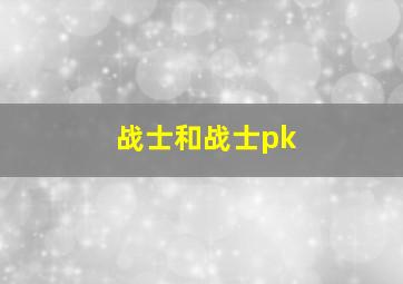 战士和战士pk