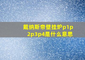 戴纳斯帝壁挂炉p1p2p3p4是什么意思