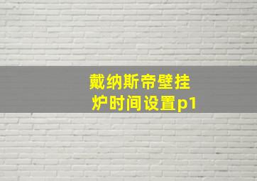 戴纳斯帝壁挂炉时间设置p1