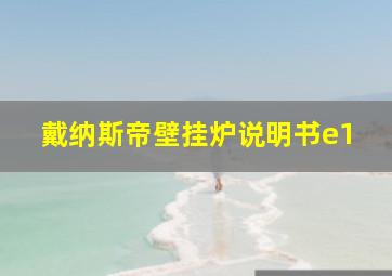 戴纳斯帝壁挂炉说明书e1