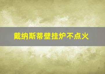 戴纳斯蒂壁挂炉不点火