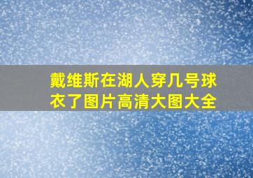 戴维斯在湖人穿几号球衣了图片高清大图大全