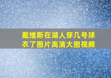 戴维斯在湖人穿几号球衣了图片高清大图视频