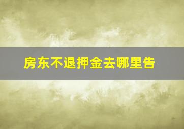 房东不退押金去哪里告