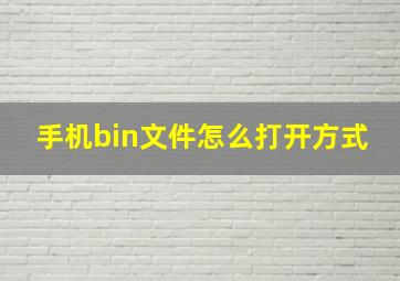 手机bin文件怎么打开方式