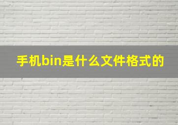 手机bin是什么文件格式的