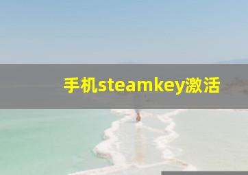 手机steamkey激活