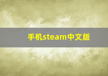 手机steam中文版