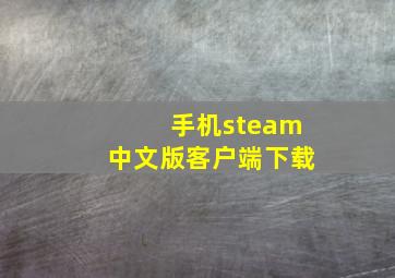 手机steam中文版客户端下载