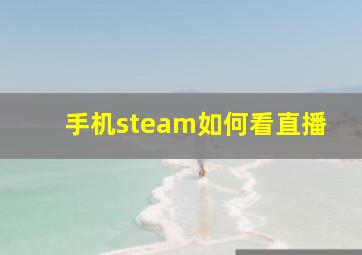 手机steam如何看直播