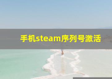 手机steam序列号激活