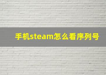 手机steam怎么看序列号