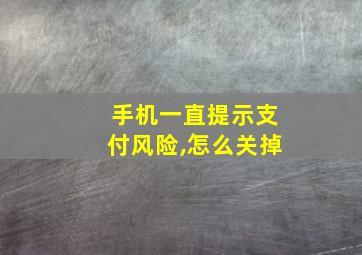 手机一直提示支付风险,怎么关掉