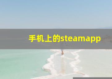 手机上的steamapp