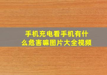 手机充电看手机有什么危害嘛图片大全视频