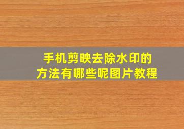 手机剪映去除水印的方法有哪些呢图片教程