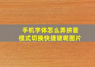 手机字体怎么弄拼音模式切换快捷键呢图片