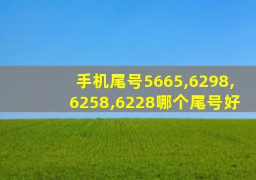 手机尾号5665,6298,6258,6228哪个尾号好