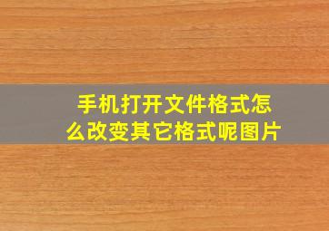 手机打开文件格式怎么改变其它格式呢图片