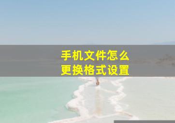 手机文件怎么更换格式设置