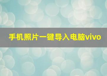 手机照片一键导入电脑vivo