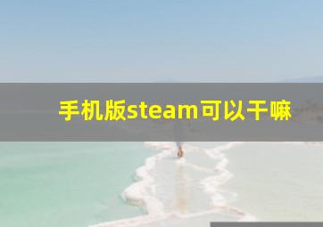 手机版steam可以干嘛