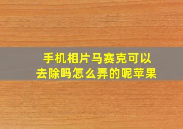 手机相片马赛克可以去除吗怎么弄的呢苹果