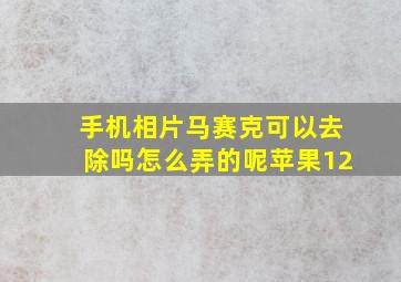 手机相片马赛克可以去除吗怎么弄的呢苹果12