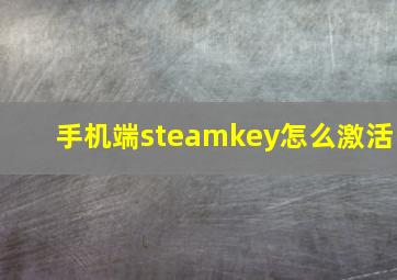 手机端steamkey怎么激活