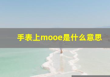 手表上mooe是什么意思