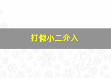 打假小二介入