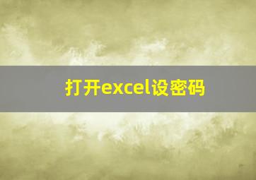 打开excel设密码